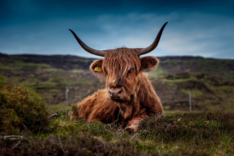 The Highlands, Scotland